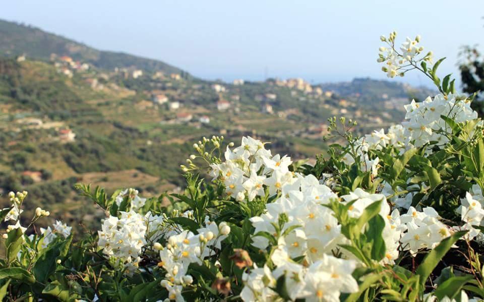 Agriturismo Da Lui Bordighera Zewnętrze zdjęcie